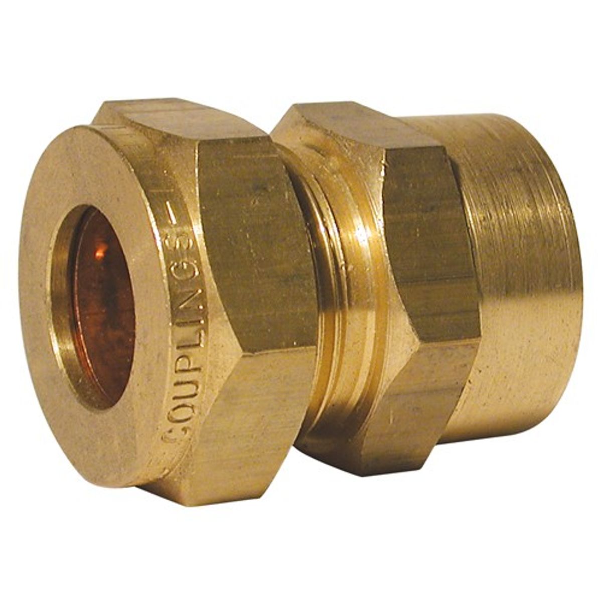AG Female Compression Coupling (1/8" BSP to 1/8" Compression)