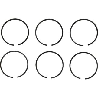 PRM Piston Ring Kit (PRM 160D, 260, 301, 302, 401, 402, 500 & 750)