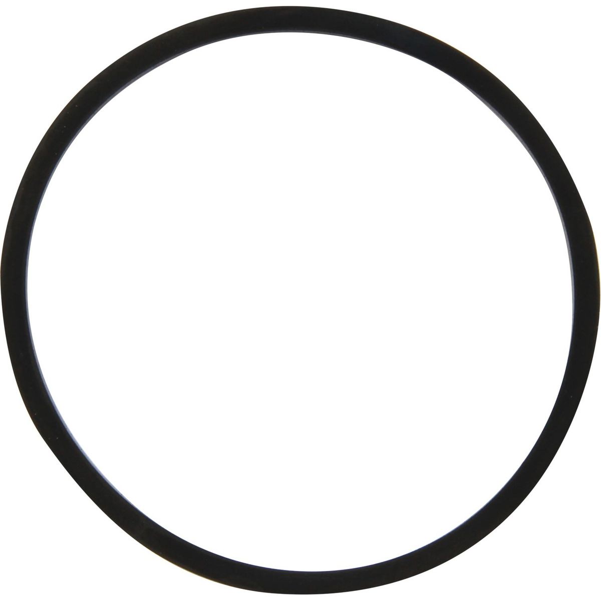 DriveForce Seal Ring for CAV Filter Head