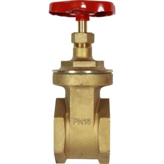 Maestrini Brass Gate Valve with Brass Body (2-1/2" BSP Female)