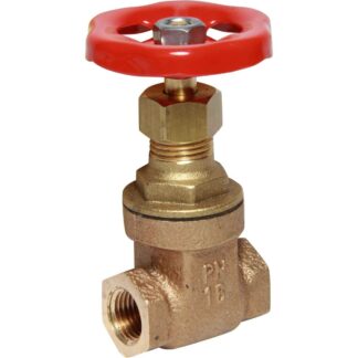 Maestrini Brass Gate Valve with Bronze Body (1/4" BSP Female)