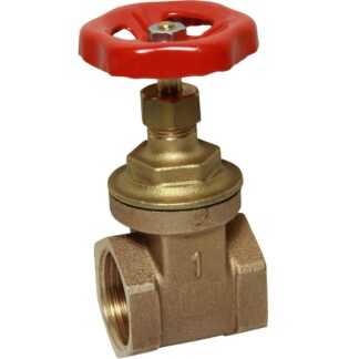 Maestrini Brass Gate Valve with Bronze Body (1" BSP Female)