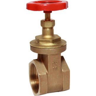 Maestrini Brass Gate Valve with Bronze Body (2-1/2" BSP Female)
