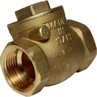Maestrini Brass Inline Swing Check Valve (Female / 1" BSP)