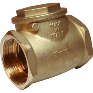 Maestrini Brass Inline Swing Check Valve (Female / 2" BSP)