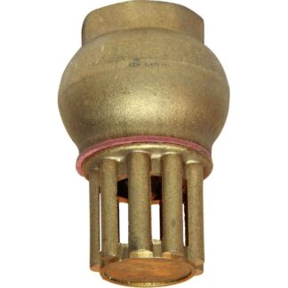 Maestrini Brass Foot Valve (Female / 1/2" BSP)