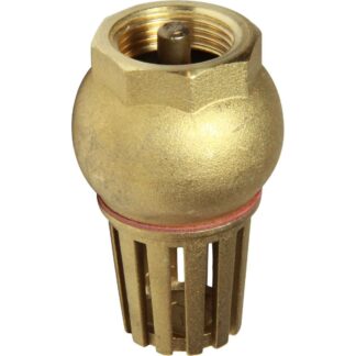 Maestrini Brass Foot Valve (Female / 3/4" BSP)