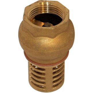 Maestrini Brass Foot Valve (Female / 1" BSP)