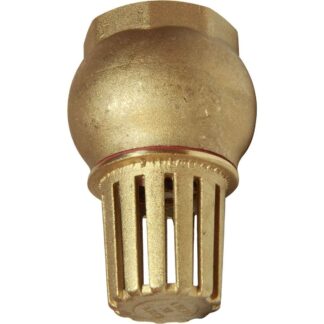 Maestrini Brass Foot Valve (Female / 1-1/4" BSP)