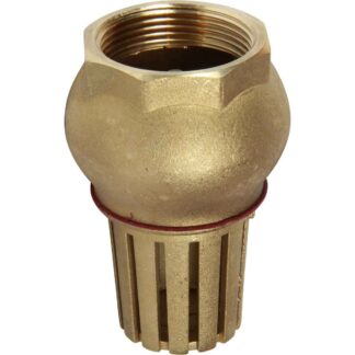 Maestrini Brass Foot Valve (Female / 1-1/2" BSP)