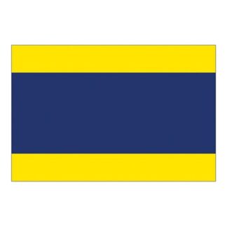 Flag International Code Signal D (30 x 45cm)