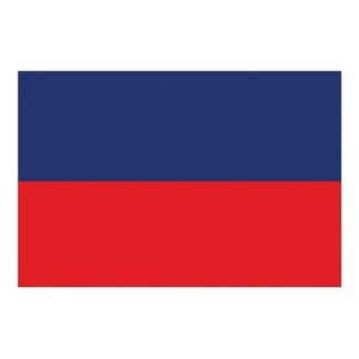 Flag International Code Signal E (30 x 45cm)