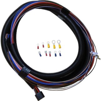 AG Instrument Panel 11 Wire Loom & Plug (2 Metres + 1)