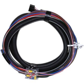 AG Instrument Panel 11 Wire Loom & Plug (3 Metres + 1)