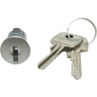 Standard Key Start Switch Barrel with 2 Keys