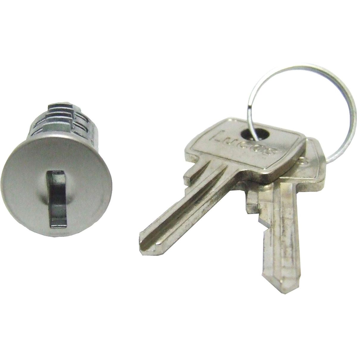 Standard Key Start Switch Barrel with 2 Keys