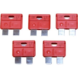 AMC Blade Fuse (40 Amp / 5 Pack)