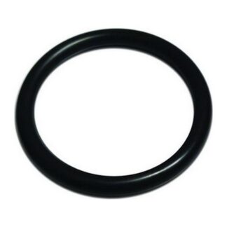 AG O-Ring for Large Pump Out Sockets