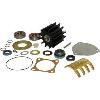 Sherwood Major Repair Kit for Sherwood P1700 series Pumps