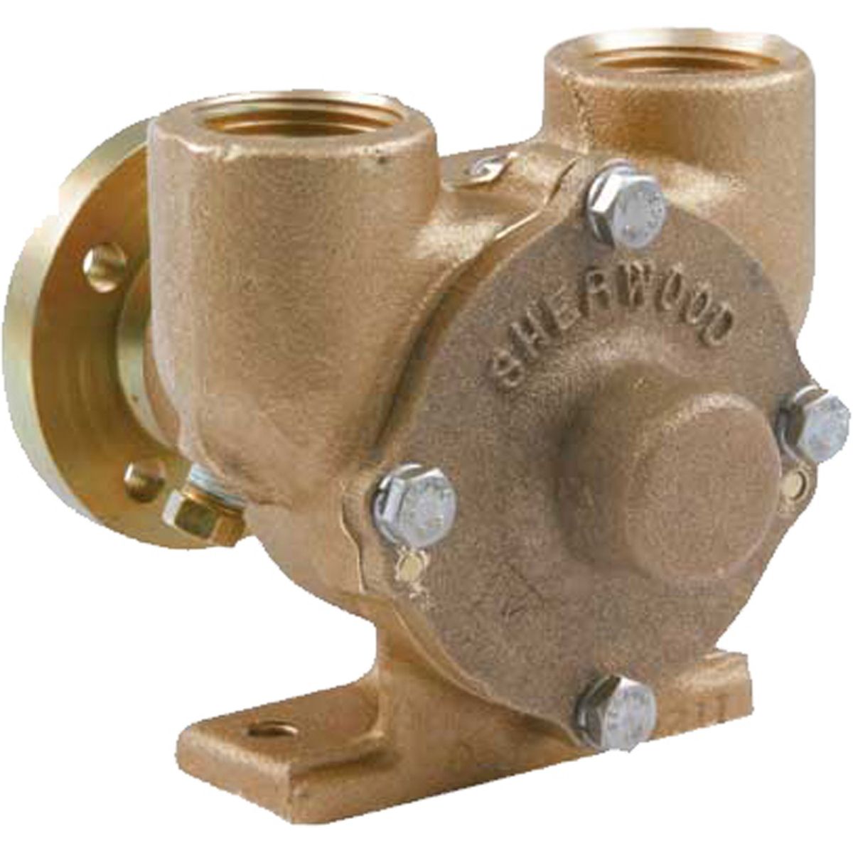 Sherwood E35 Pedestal Mounted Raw Water Engine Cooling Pump (1" NPT)